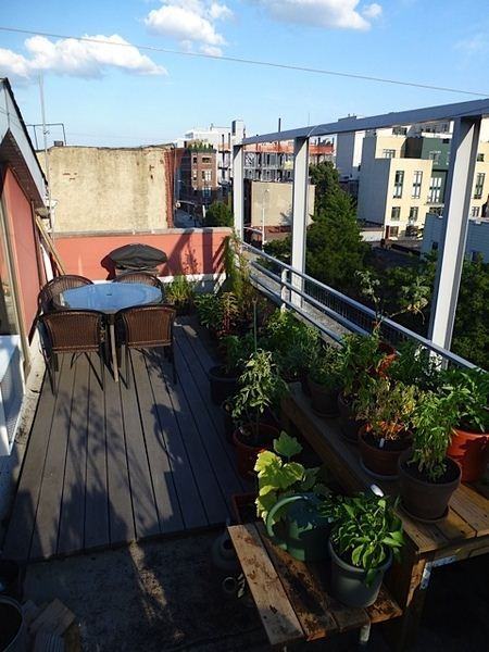 Prospect Heights Apartments Pacific St, New York, NY 11238 Zumper