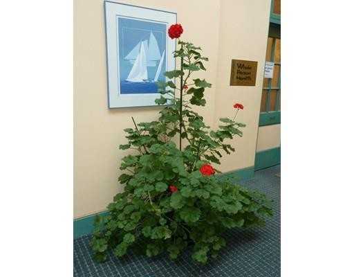 294 Pleasant St #204 - Photo 3 of 19