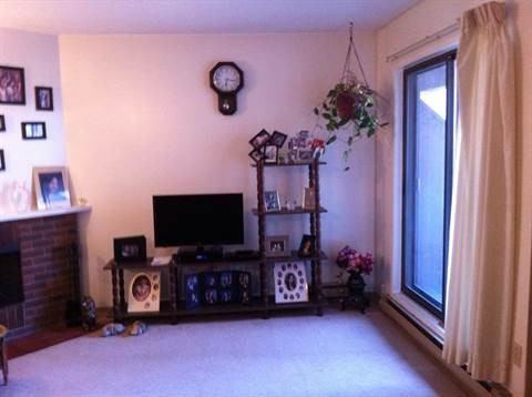 549 Leila Ave - Photo 3 of 8