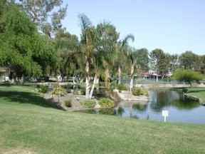 1770 Pso Raqueta - Photo 2 of 13