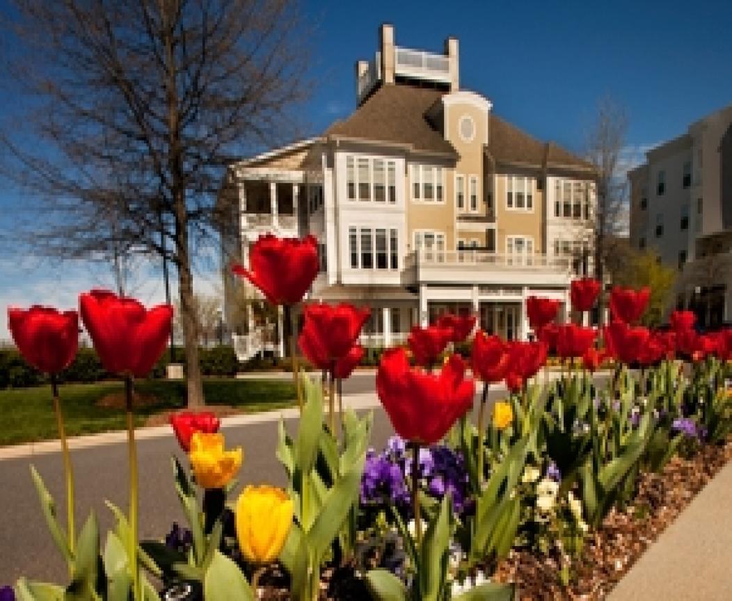 16725 Birkdale Commons Pkwy, Huntersville, NC 28078 Studio Apartment