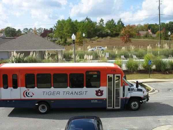 Southern Edge - Photo 2 of 3