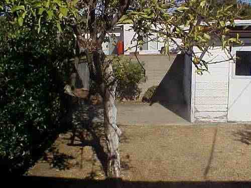 735 Woodlawn Ave - Photo 2 of 2