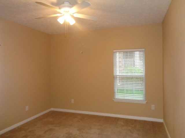 213 Payson Ct - Photo 3 of 7