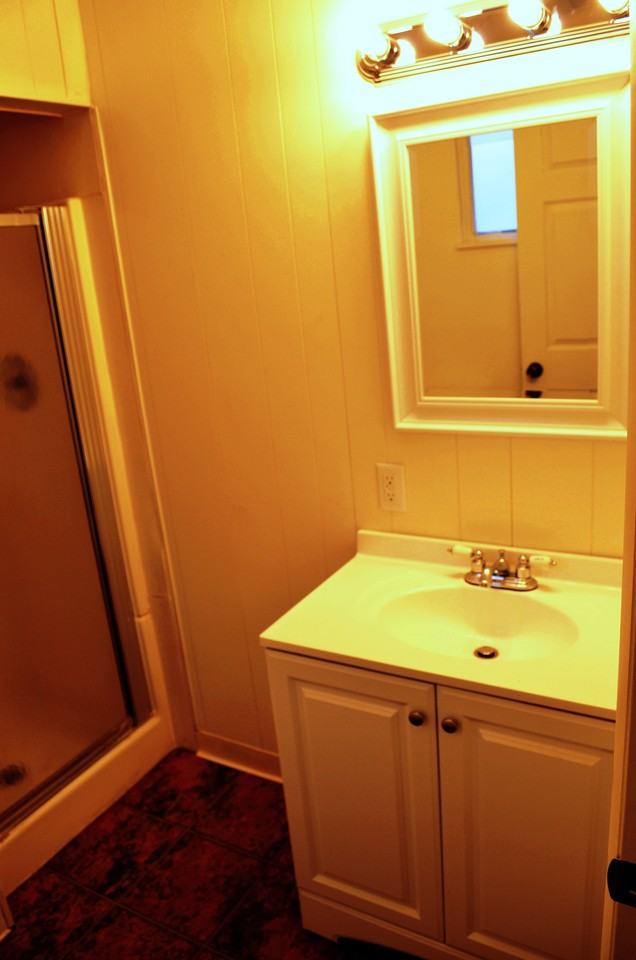 1009 Saint Martin Street - Photo 3 of 12