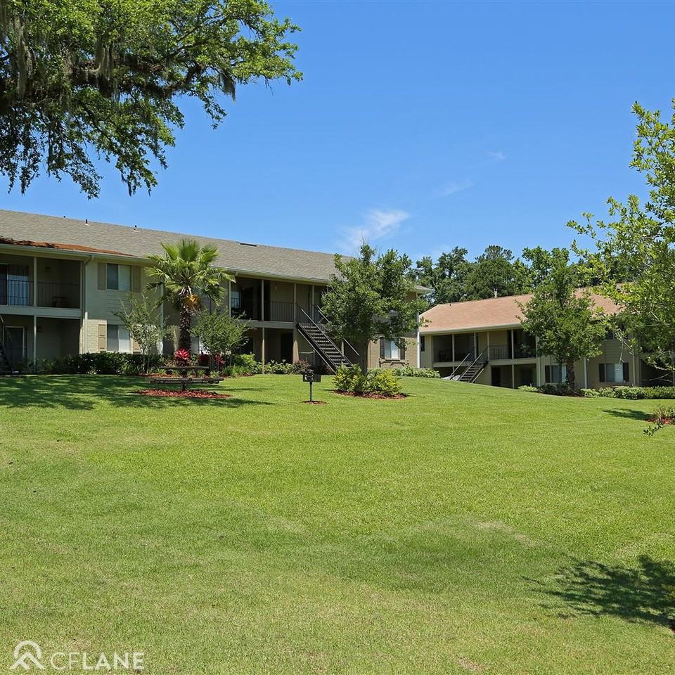 Tally Square - Photo 2 of 9