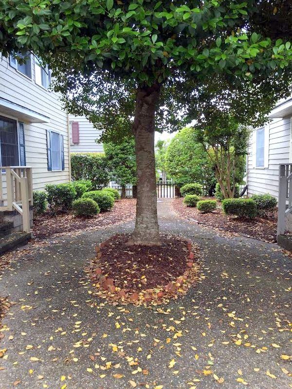 341 River Walk Dr - Photo 2 of 12