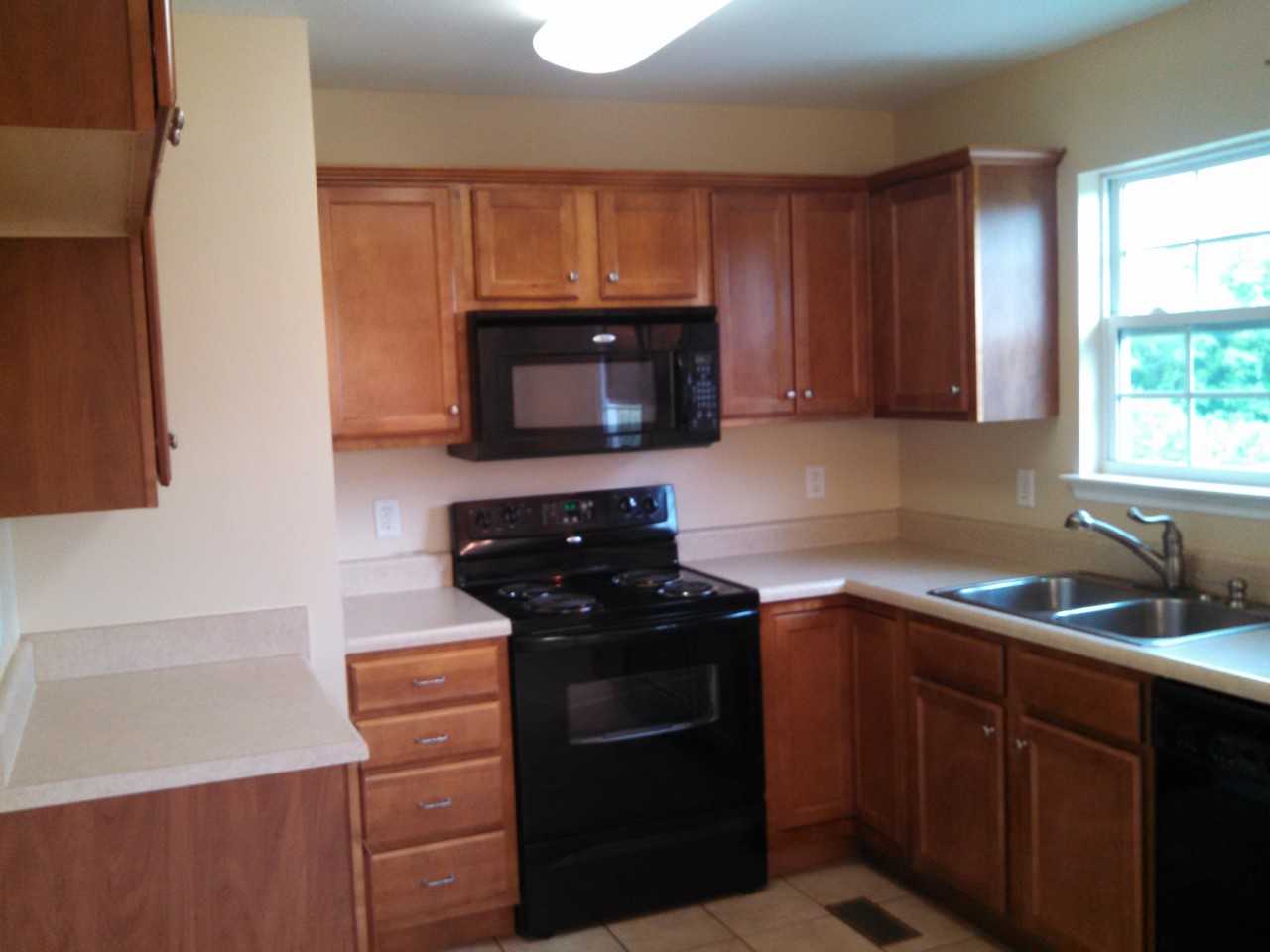 1820 Hazel Alder Ln - Photo 2 of 10