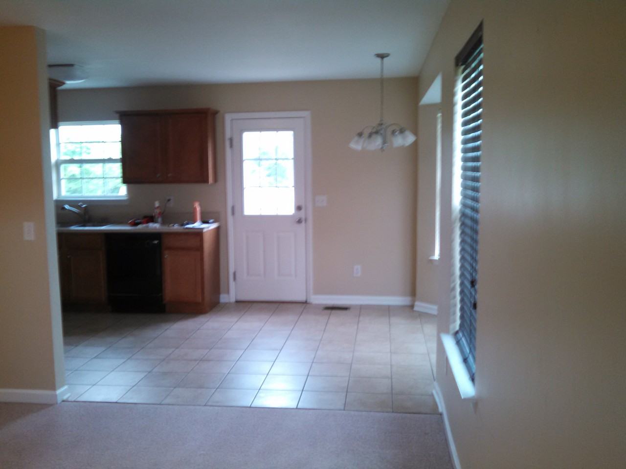 1820 Hazel Alder Ln - Photo 3 of 10