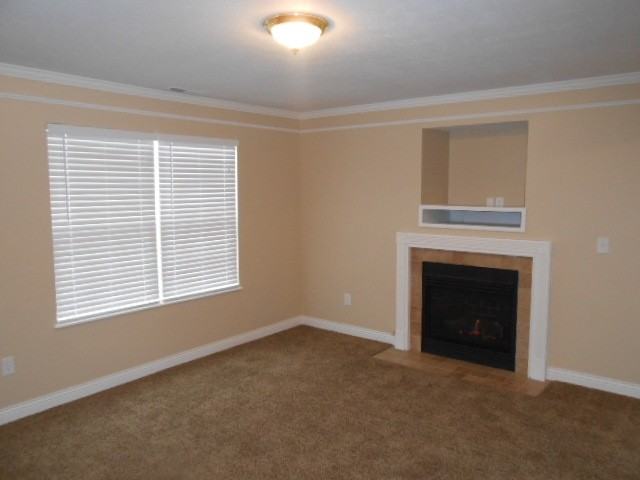 7064 Winterbek Ave - Photo 3 of 17