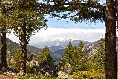 11 Deer Trail Cir - Photo 3 of 26