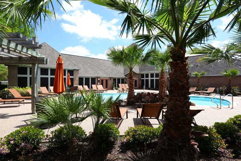 The Villages of Lake Jackson - Photo 3 of 22