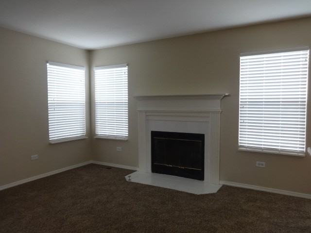 1407 Cindy Ct - Photo 2 of 11