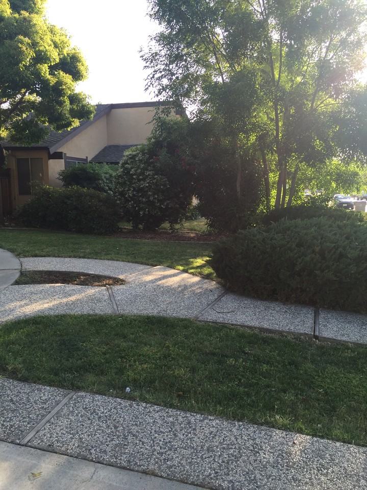 138 Sweetberry Court - Photo 2 of 14