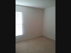 1710 Fawn Cove Ln - Photo 3 of 5