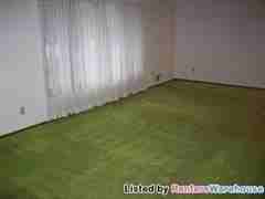 1964 6th St - Photo 3 of 13