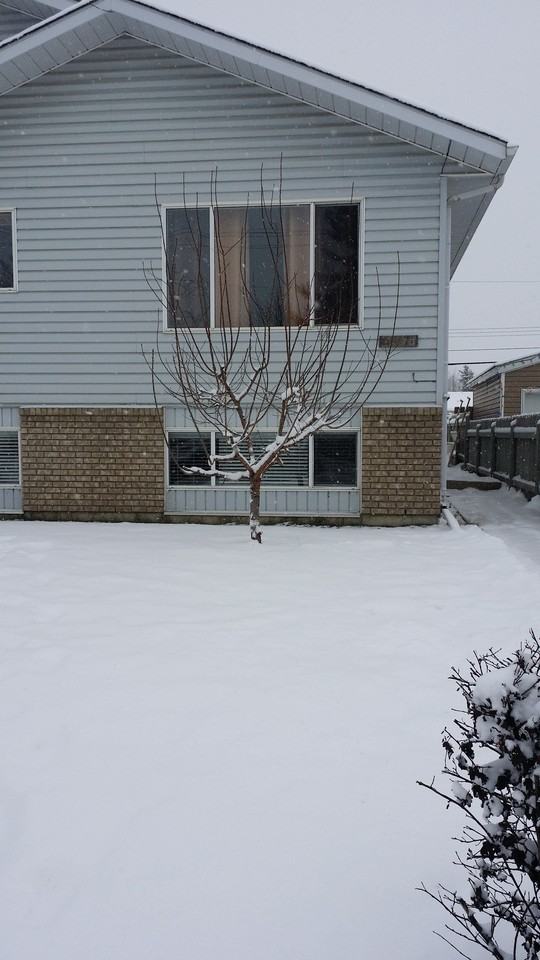 4817 50 Ave #A - Photo 3 of 30