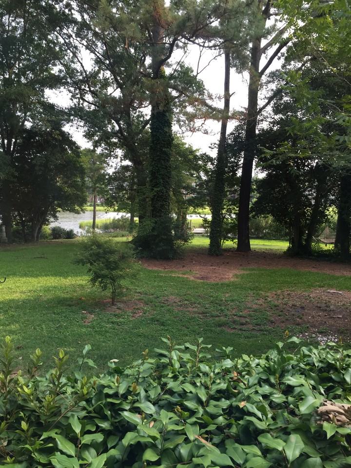1476 Holly Point Rd - Photo 3 of 9
