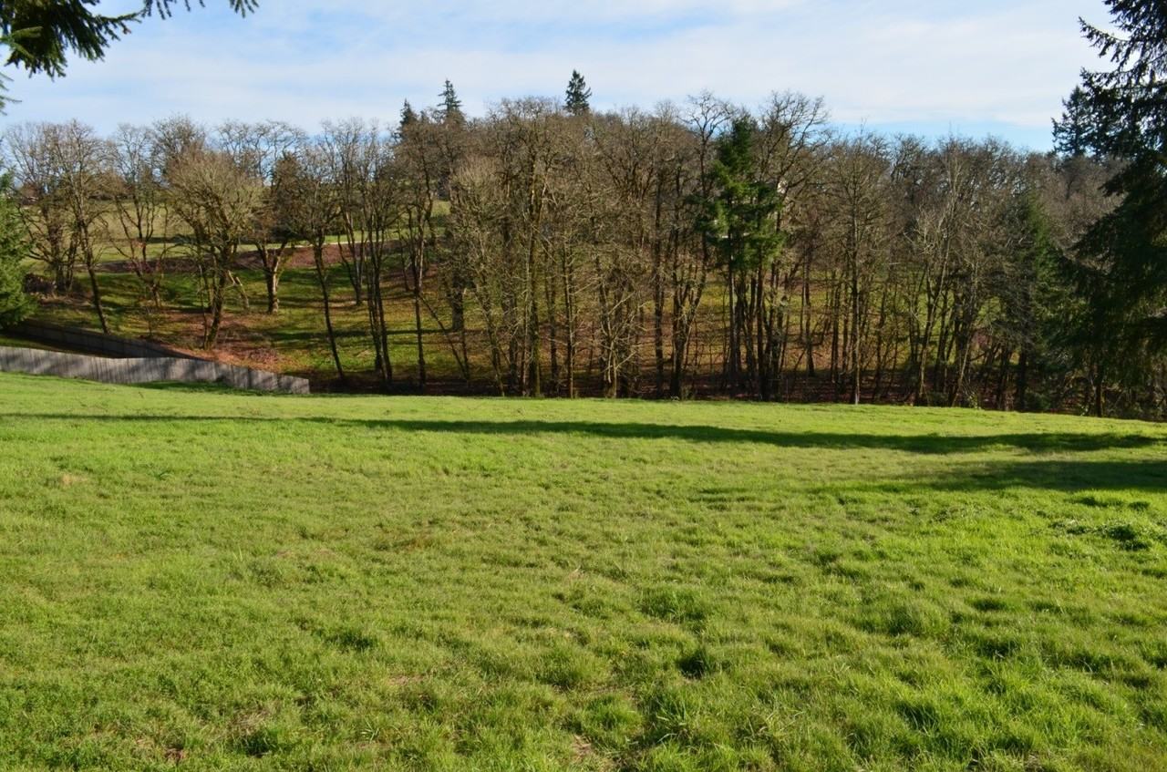 9654 Ankeny Heights Lane South - Photo 3 of 22