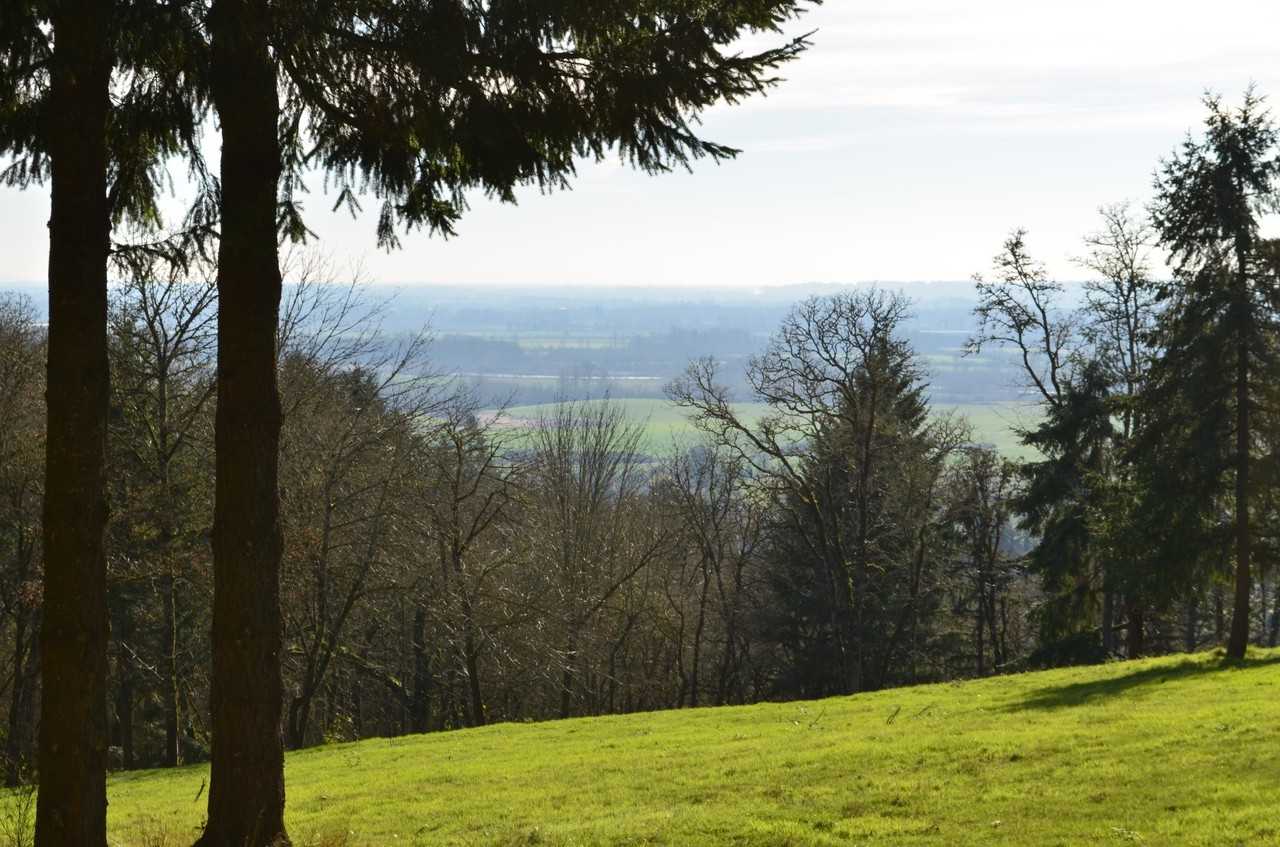 9654 Ankeny Heights Lane South