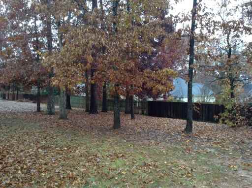 10442 Starling Trail - Photo 2 of 23