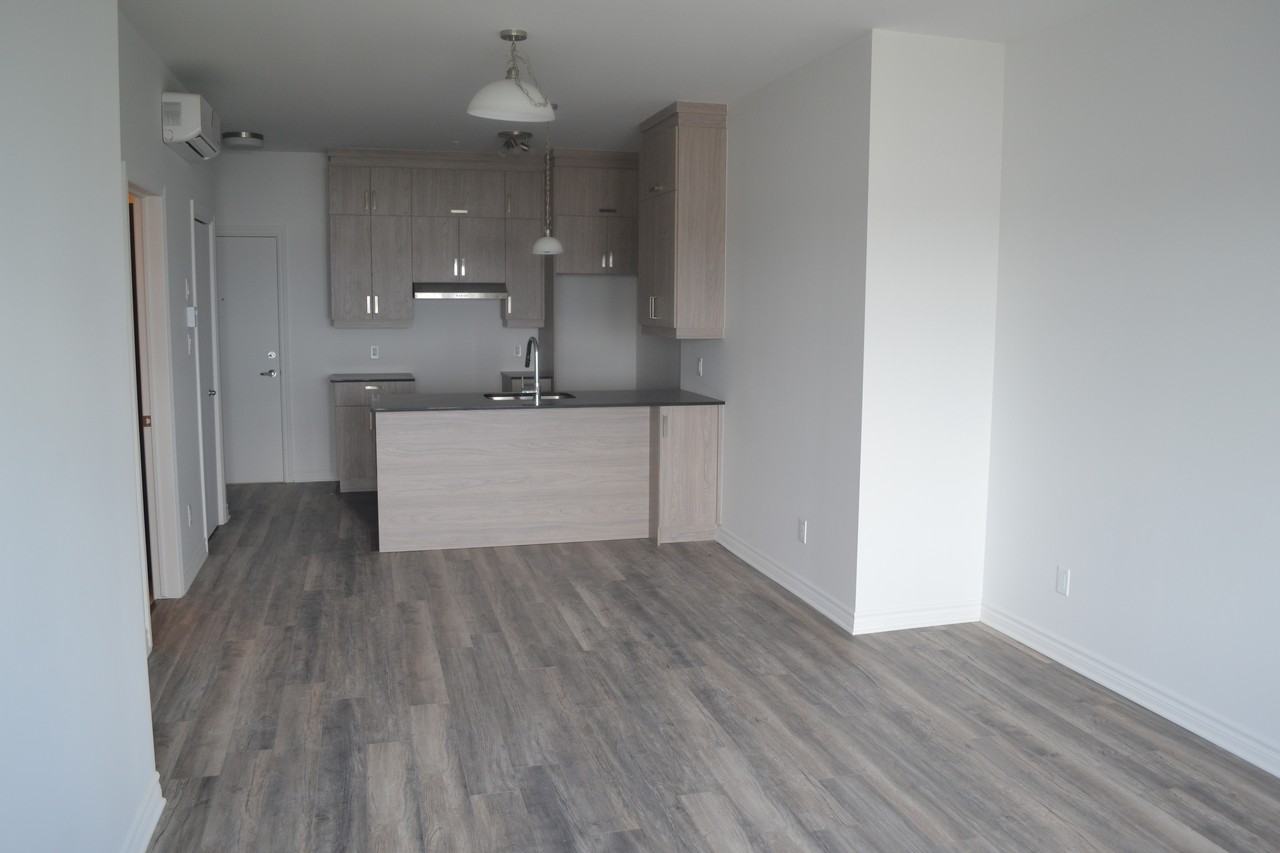 8155 Boulevard Leduc - Photo 3 of 8