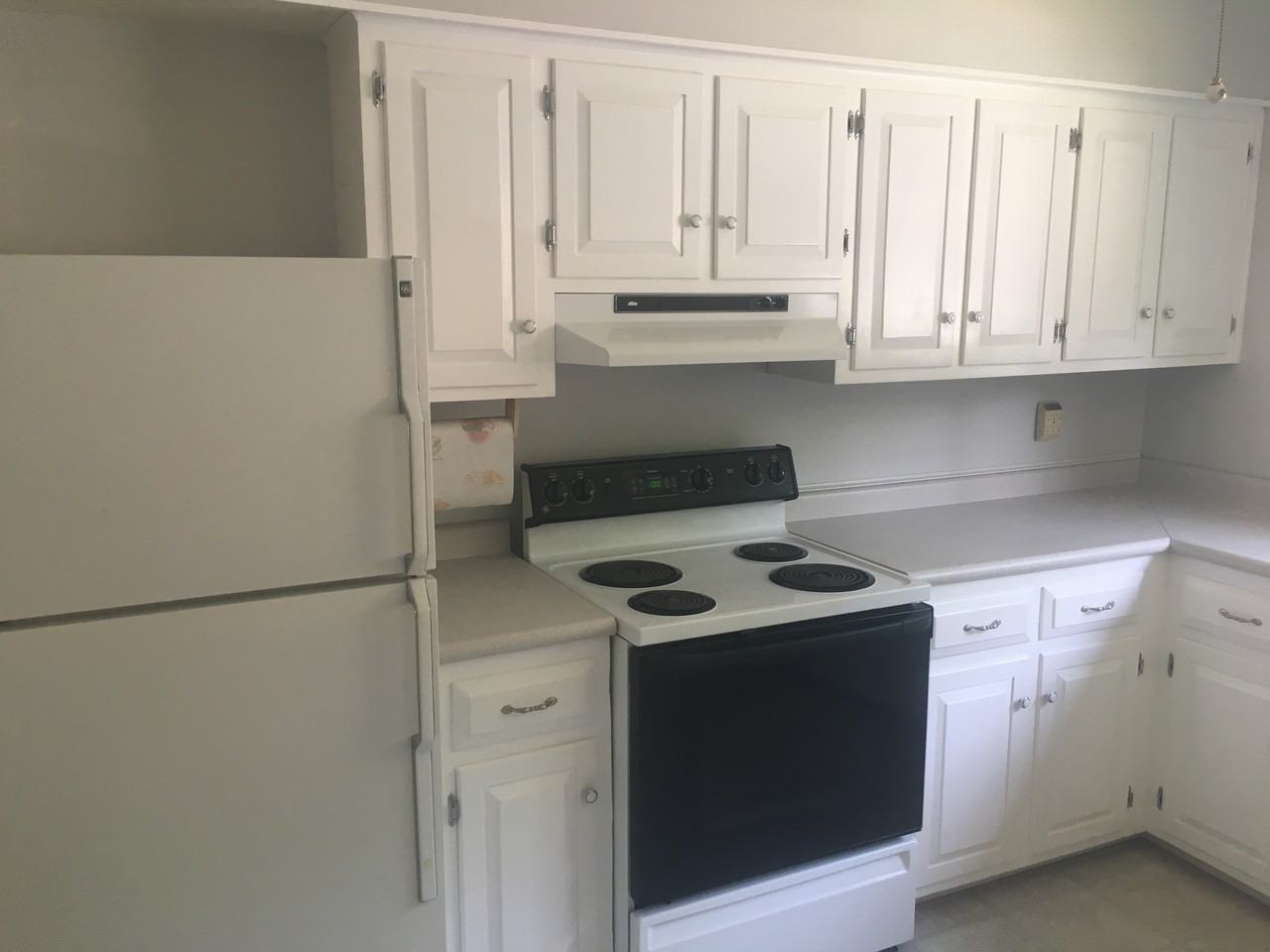 1174 Willow Green Dr - Photo 3 of 18