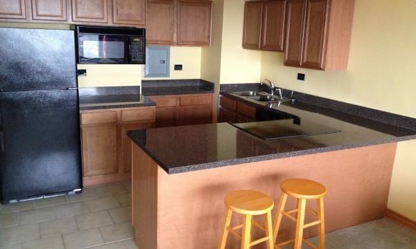 6030 N Sheridan Rd #1909 - Photo 3 of 3