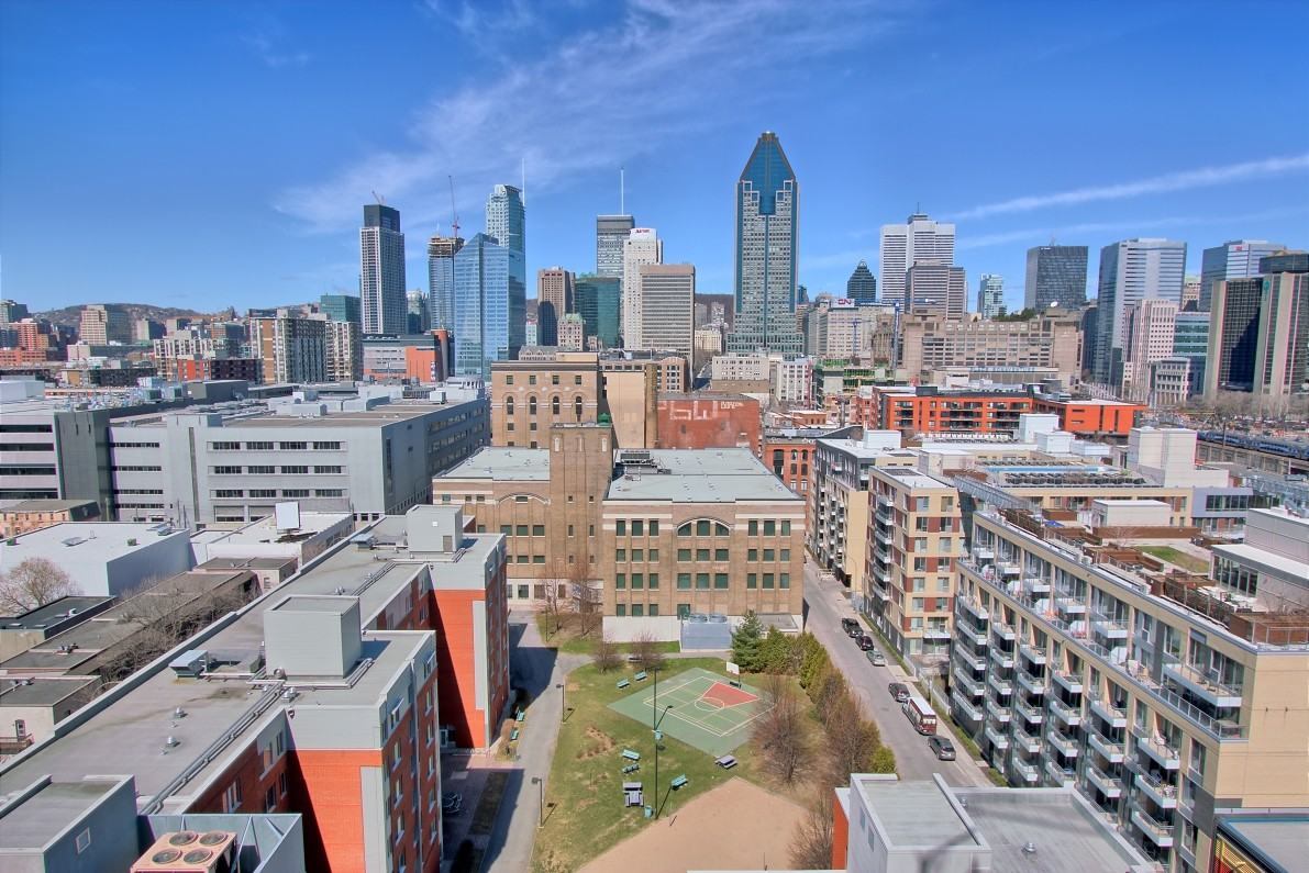 235 Rue Peel 1613, Montréal, QC H3C 0P8 1 Bedroom Apartment for Rent