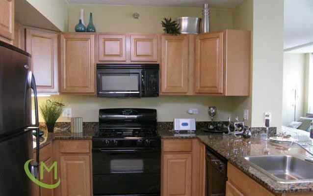 300 N Canal St #0308