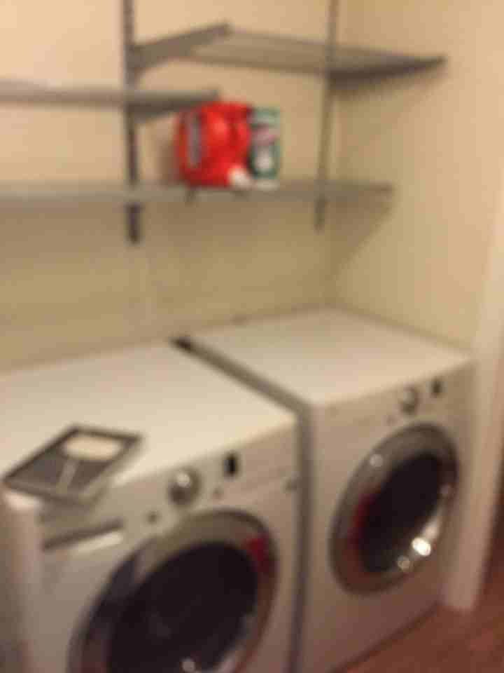 3921 North Albina Avenue - Photo 7 of 14