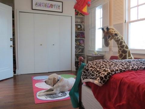 2714 Woodley Place Northwest - Photo 3 of 36