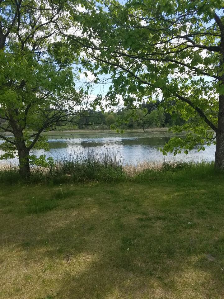 315 Columbia St - Photo 2 of 11