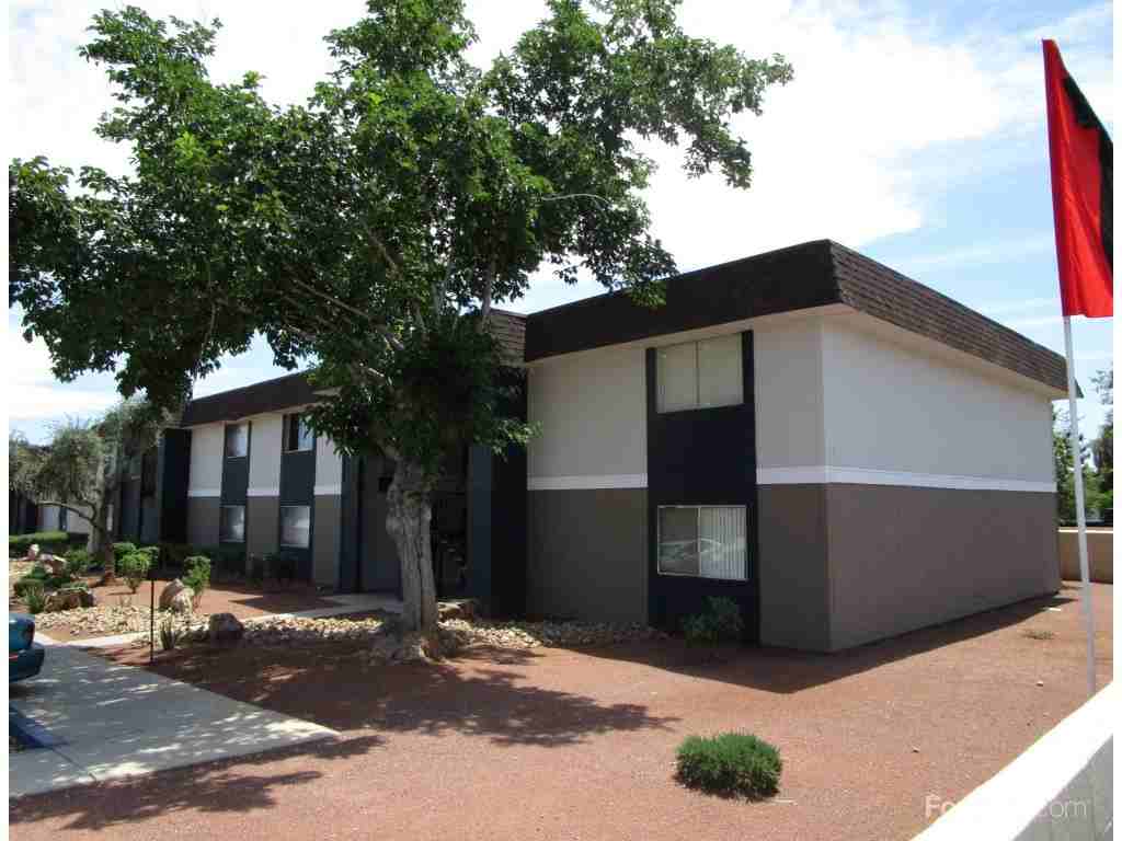 Mountain Vista - Photo 3 of 19