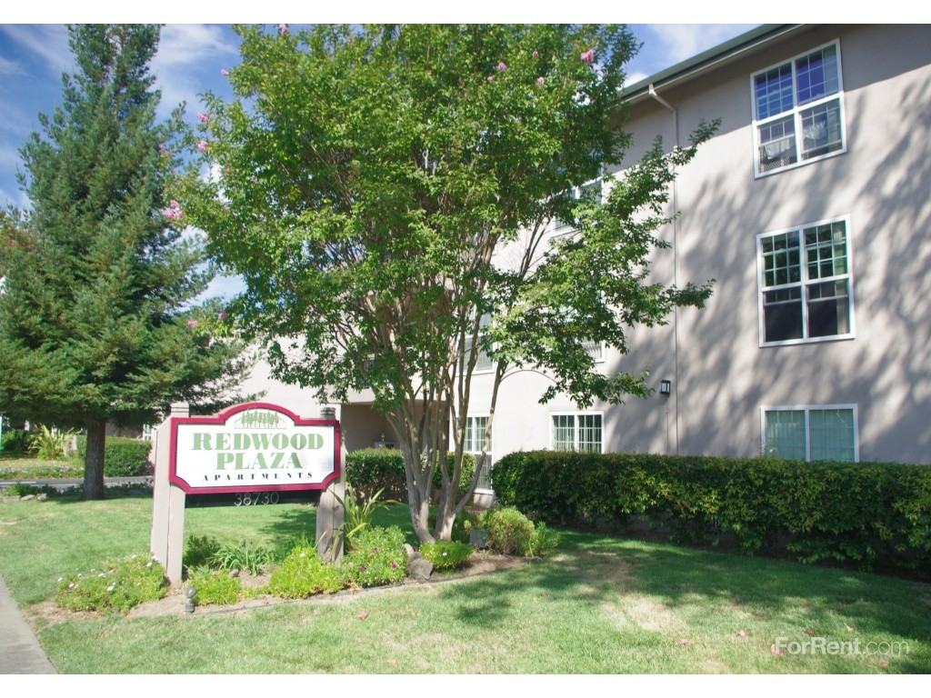 Redwood Plaza - Photo 2 of 19