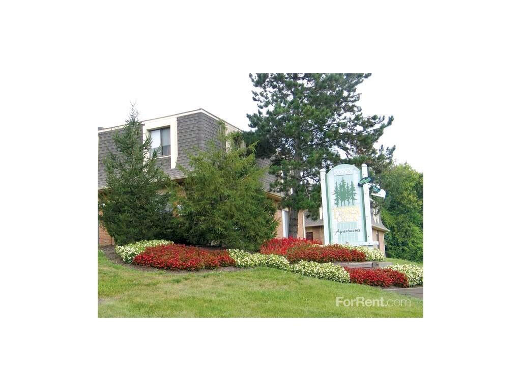 Timber Creek Village Apartments - Photo 2 of 20