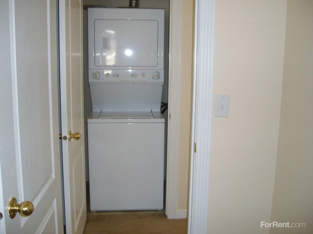 Chestnut Valley - Photo 3 of 19