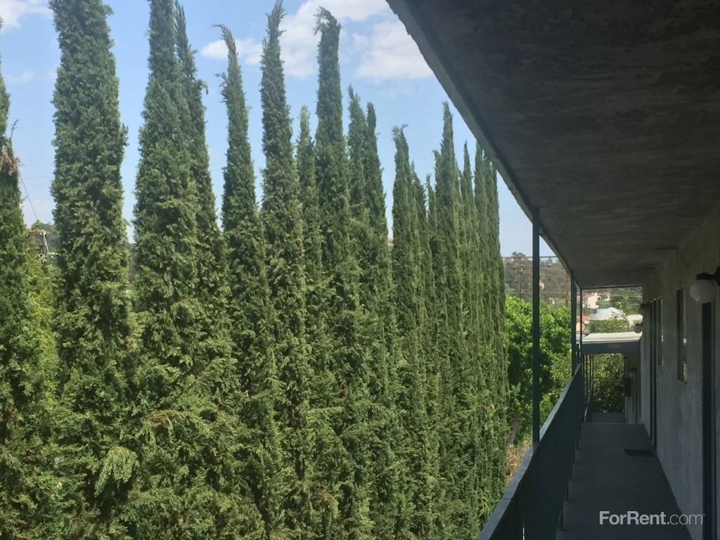 Ellenwood Apartments - Photo 3 of 6