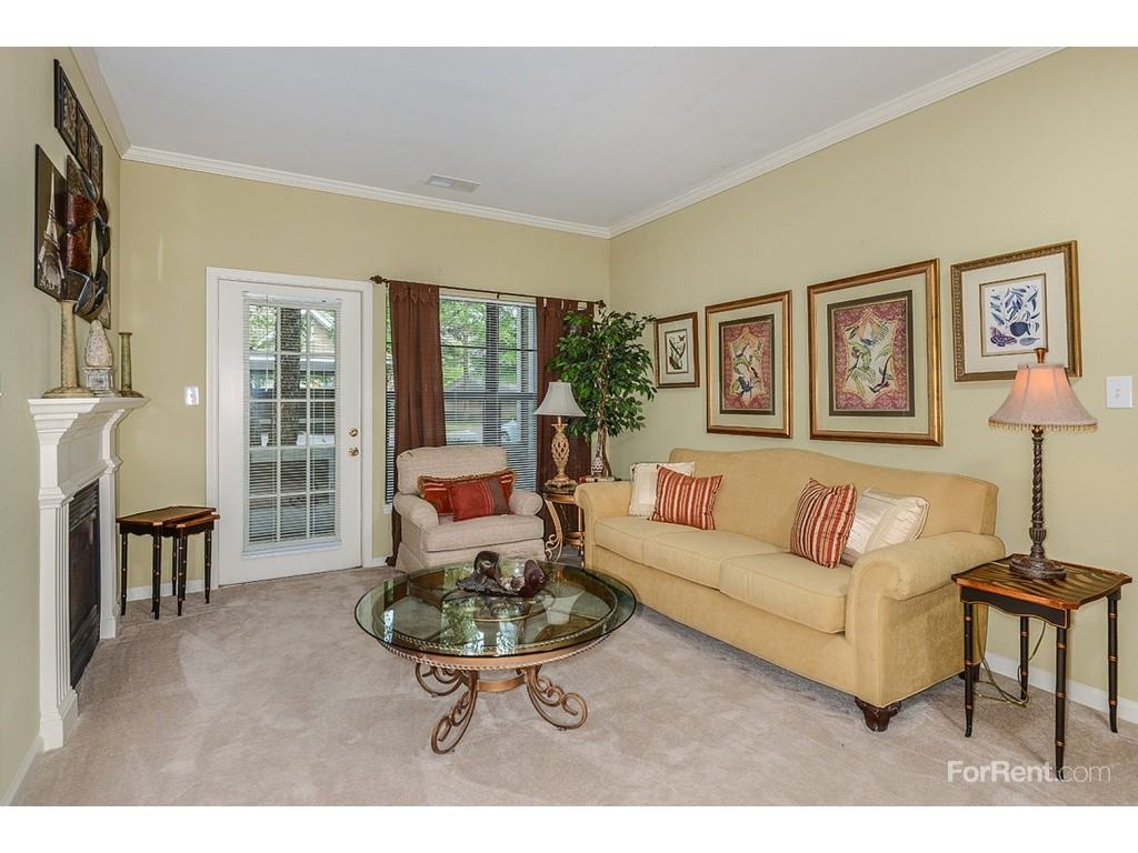 River Birch Northland - Photo 2 of 20