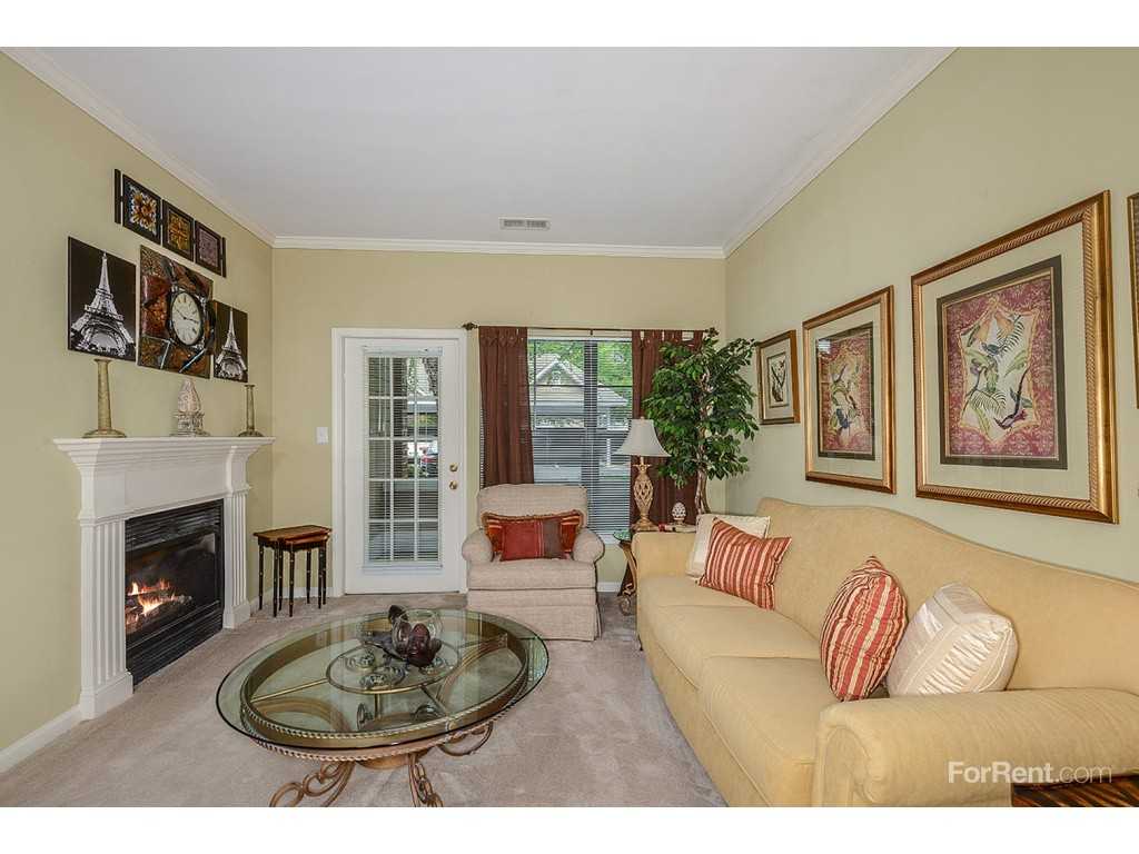 River Birch Northland - Photo 3 of 20