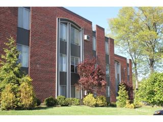 chinese food new britain ct broad st