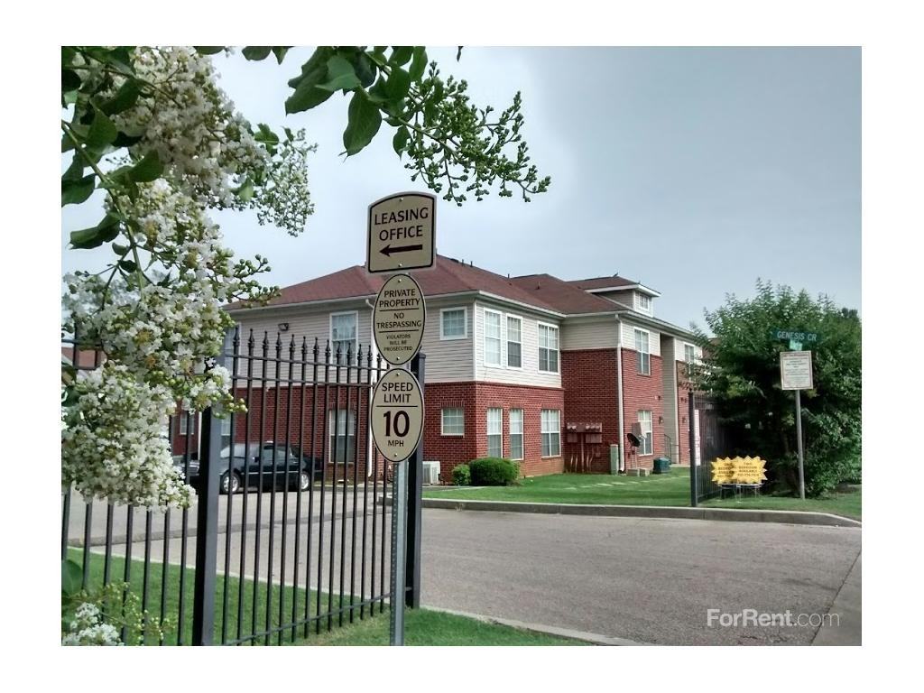 Alpha Renaissance - Photo 3 of 15