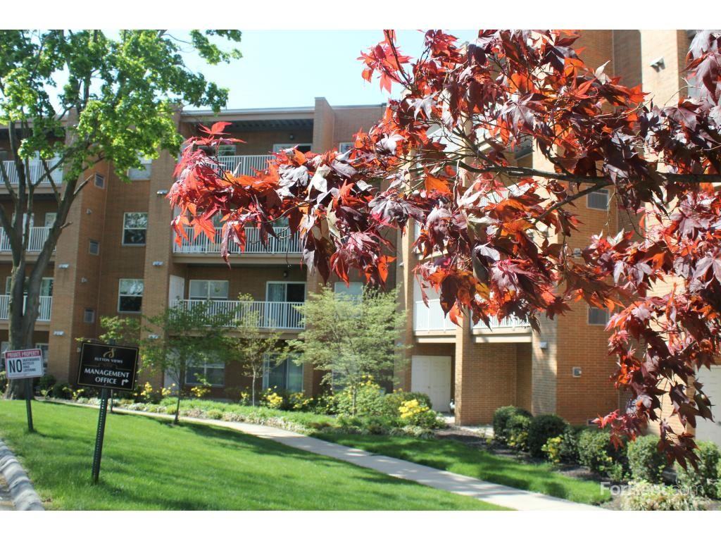 Sutton Views Apartments - Photo 3 of 19