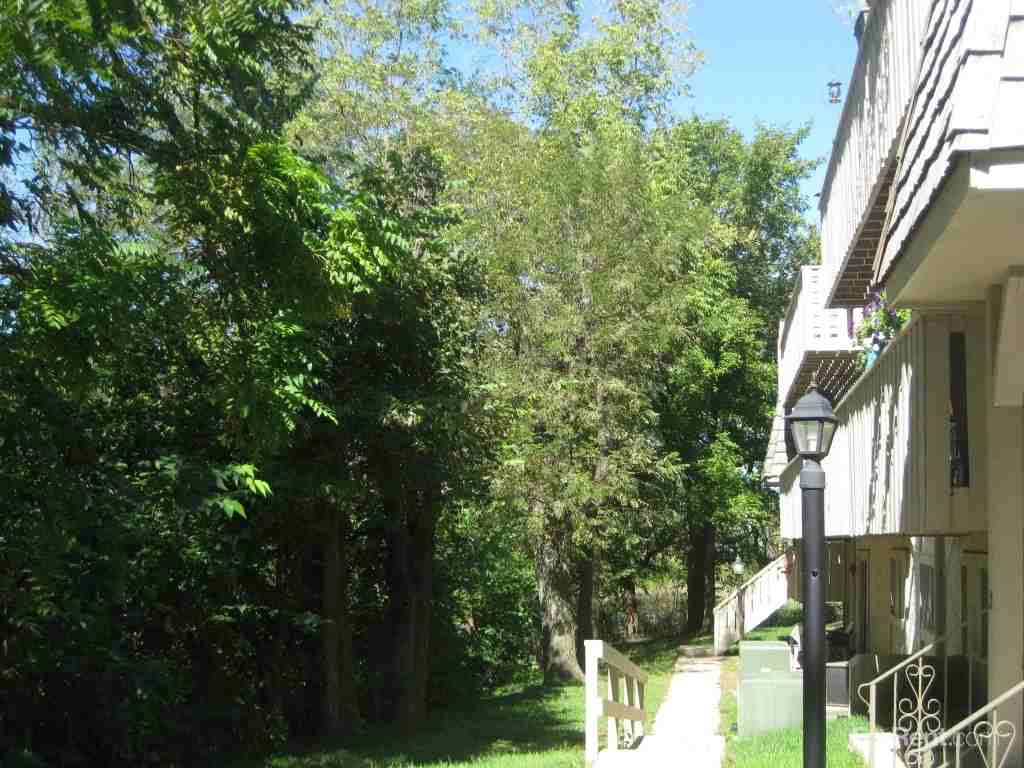 Gatton Rentals - Photo 3 of 9