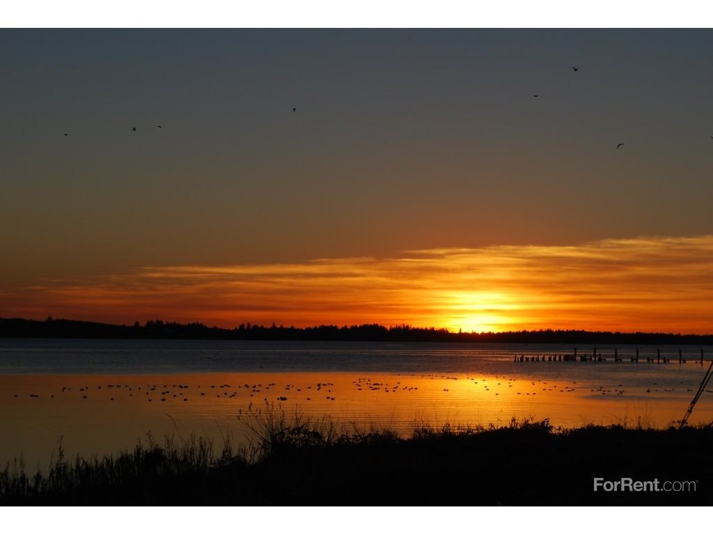 The Yacht Club - Photo 2 of 6