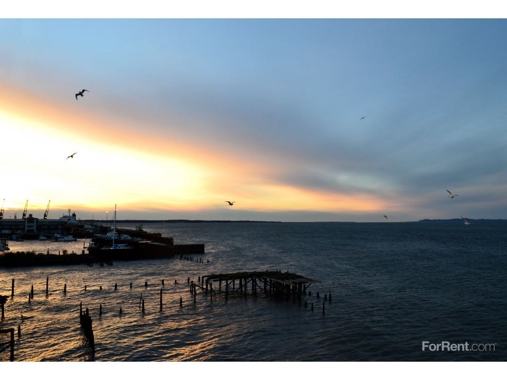 The Yacht Club - Photo 3 of 6