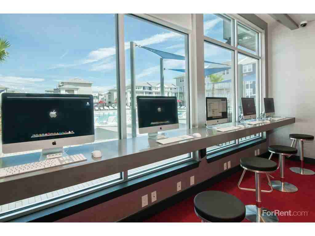 The Avenue at San Marcos - Photo 3 of 19