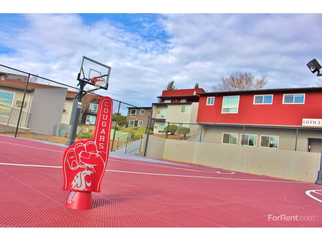 Cougar Ridge - Photo 2 of 20