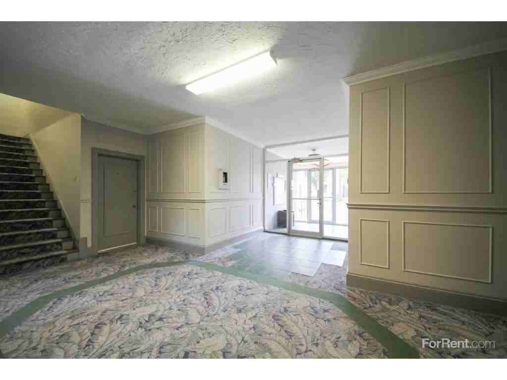 Lutz Street Apartments - Photo 3 of 9