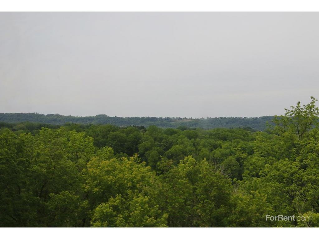 Saxony Apartments - Photo 3 of 16